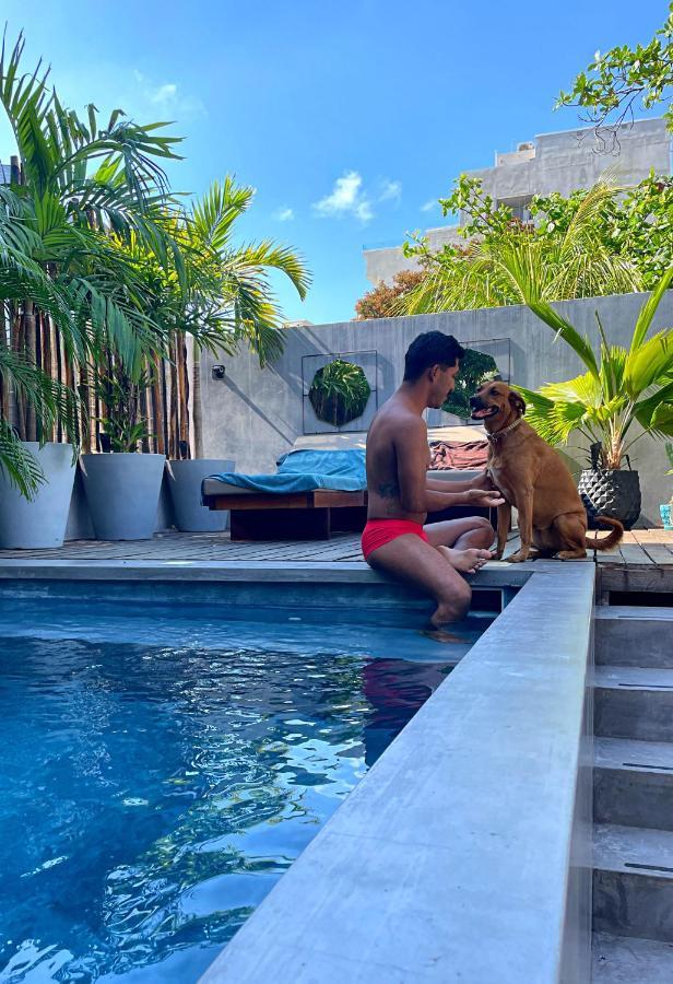 Lote4 - Lgbtq Studios Playa del Carmen Exteriér fotografie